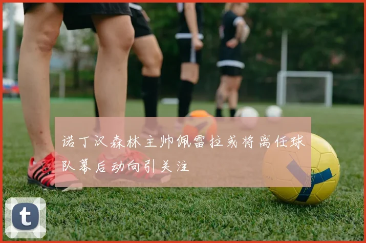 诺丁汉森林主帅佩雷拉或将离任球队幕后动向引关注